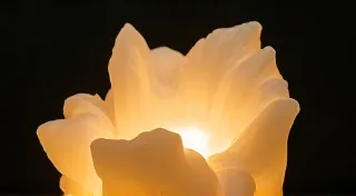 Alabaster Carving: Achieving Translucence and Detail